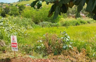 Terreno à venda, 250 m² por r$ 70.000,00 - esperança - ibiporã/pr