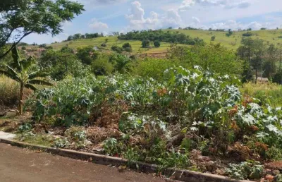 Terreno à venda, 250 m² por r$ 70.000,00 - esperança - ibiporã/pr