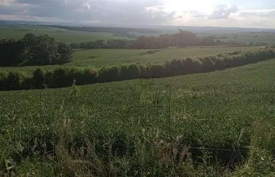 Sítio à venda, 193600 m² por r$ 2.500.000 - centro - bela vista do paraíso/pr