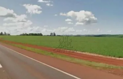 Área à venda, 136 m² por r$ 6.000.000,00 - conjunto habitacional henrique julio berger - rolândia/pr