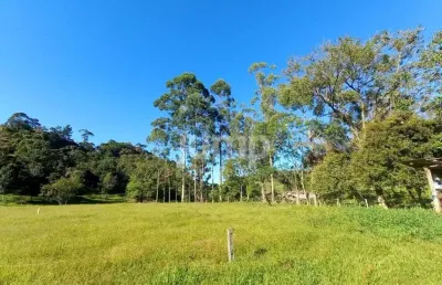 Terreno à venda na Arnoldo Alfredo Stahelin, Santa Tereza, São Pedro de Alcântara