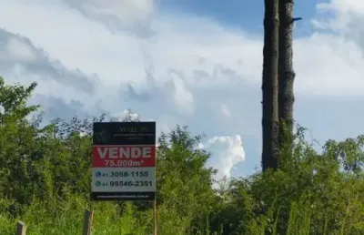 Terreno à venda em campina do taquaral, são josé dos pinhais  por r$ 2.600.000