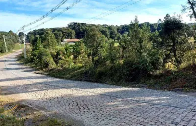 Chácara / sítio à venda na rua carlos kusma, zona rural, são josé dos pinhais, 10680 m2 por r$ 330.000