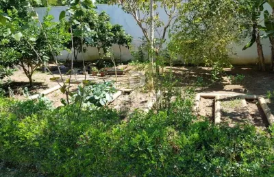 Terreno à venda na Rua Paulo Burle, 290, Palmeiras, Cabo Frio