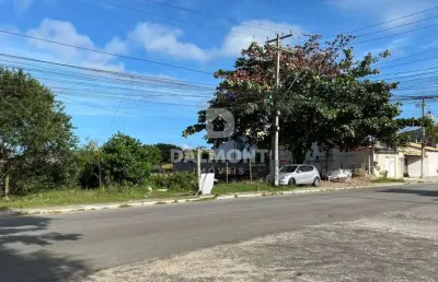 Ogiva - cabo frio/rj - terreno plano na principal av da ogiva/peró - 877m²