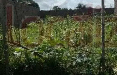 Chácara / sítio à venda no Mangabeira, Feira de Santana 