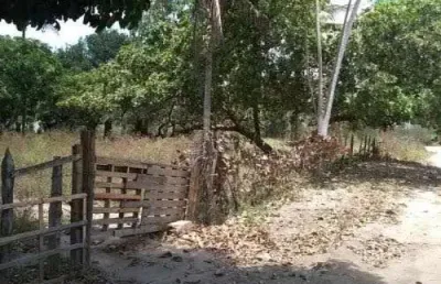 Chácara / sítio com 2 quartos à venda no Sim, Feira de Santana 