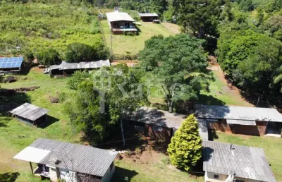 Chácara para venda em osório, borússia, 6 dormitórios, 3 banheiros, 4 vagas