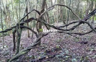 Terreno à venda na Rua Mem de Sá, 01, Chácaras Embu Colonial, Embu das Artes