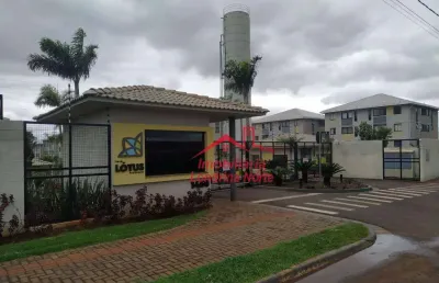 Apartamento com 2 dormitórios, 49 m² - venda por r$ 145.000,00 ou aluguel por r$ 980,00/mês - jardim maria celina - londrina/pr