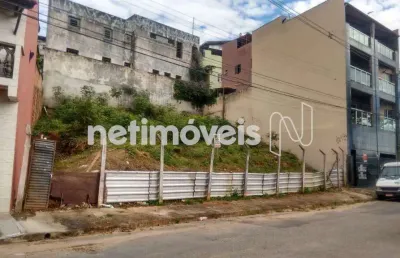 Terreno à venda na Rua José Carcheno, Jaqueline, Belo Horizonte