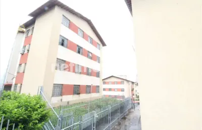 Apartamento com 2 quartos para alugar na Rua Soldado Ronaldo de Seixas, Europa, Belo Horizonte