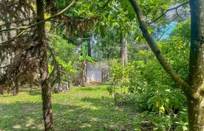 Chácara / sítio com 4 quartos à venda na rua ulda pereira da silva, 400, parque das nascentes, pinhais, 100 m2 por r$ 1.200.000