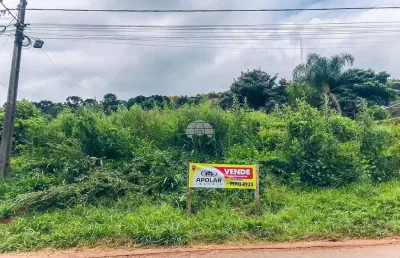 Terreno à venda na rua antônio eduardo trevisan, 1662, pacotuba, almirante tamandaré por r$ 300.000