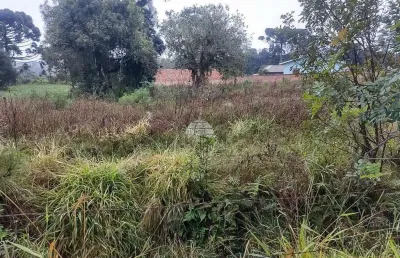 Terreno comercial à venda na estrada anta magra, campina de quitandinha, quitandinha, 1000 m2 por r$ 280.000