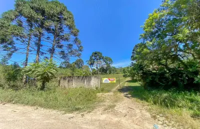 Chácara / sítio à venda na estrada chimboveiro, 000, chimboveiro, mandirituba, 57000 m2 por r$ 1.200.000