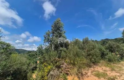 Terreno à venda na rua carlos alberto ribeiro, sn, centro, bocaiúva do sul por r$ 85.000