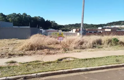 Terreno à venda na rua wadyh c. tahech, 391, são cristóvão, guarapuava por r$ 175.000