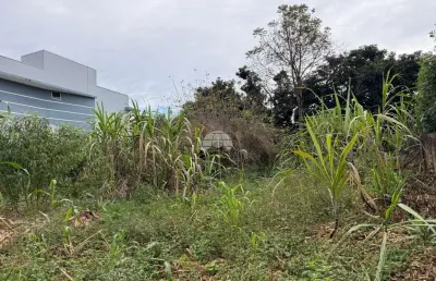 Terreno à venda na rua leôncio amadori, 00, aeroporto, pato branco, 514 m2 por r$ 349.000