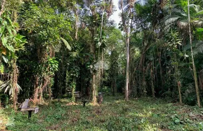 Terreno à venda na estrada da capituva, 1043, zona rural, morretes por r$ 360.000