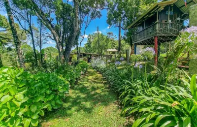 Chácara / sítio com 3 quartos à venda na rua faraó cavalli, 1500, campestre, colombo, 93 m2 por r$ 1.600.000