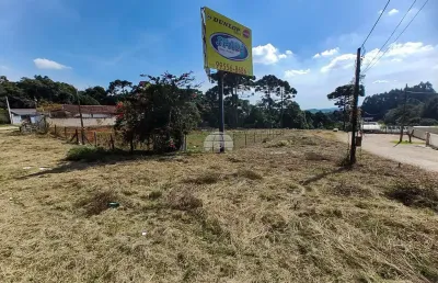 Terreno à venda na estrada da ribeira, imbuial, colombo, 50 m2 por r$ 1.295.000