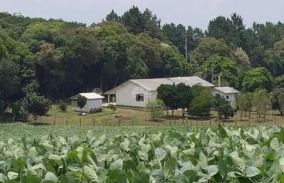 Chácara / sítio com 4 quartos à venda na rodovia pr-151, 02, centro, palmeira por r$ 2.500.000