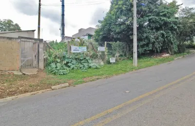 Terreno comercial para alugar na rua olívio rocha, jardim bandeirantes, colombo, 564 m2 por r$ 590