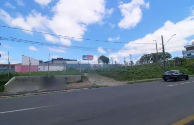 Terreno comercial para alugar na rua joão de brito, 50, cruzeiro, são josé dos pinhais, 1170 m2 por r$ 6.000