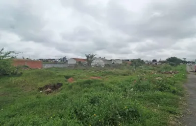 Terreno comercial para alugar na rua professora nilce terezinha zanetti, 213, jardim paulista, campina grande do sul, 600 m2 por r$ 1.250
