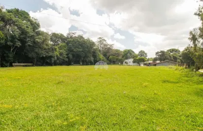 Terreno comercial para alugar na rua antônio zanon, 09, tatuquara, curitiba, 3600 m2 por r$ 7.500