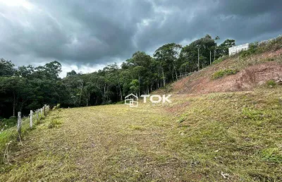 Terreno à venda, 5000 m² por r$ 630.000,00 - escalvados - navegantes/sc
