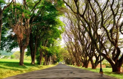 Terreno em condomínio fechado à venda na Rod Bandeirantes, KM 72, Jardim Primavera, Itupeva