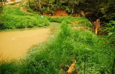 Chácara à venda, 48400 m² por r$ 1.750.000 - area industrial mitra - campina grande do sul/pr
