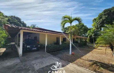 Sítio à venda em matinha são jose de ribamar - casa com 4 quartos - piscina