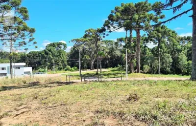 Terreno em quatro barras.perfeito para seu projeto próximo da natureza área de lazer bosque ecopark