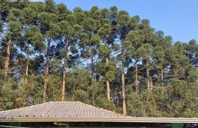 Chácara com 14.984m2, muita água, pomar, piscina, quadra. permuta por casa com terreno.