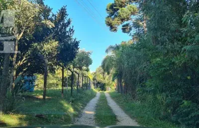 Chácara em campo largo estrada itambé 3 casas rio 2 nascentes.
