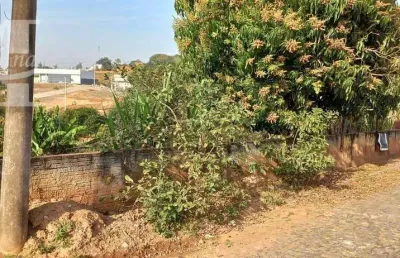 Centro - siqueira campos. ótimo terreno urbano 30 metros de frente