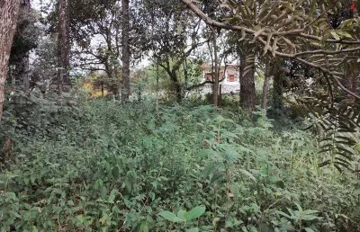 Terreno de esquina - 586,2 m² - bairro gramado -  cotia/sp