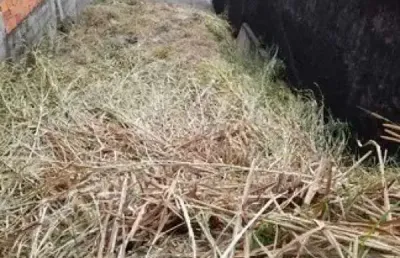 Terreno à venda na Rua Nogam, Jardim Leonor, Cotia