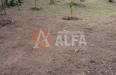 Chácara / sítio com 3 quartos à venda na Rua Piuva, Chácara Recanto Verde, Cotia