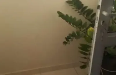 Apartamento com 2 quartos à venda no nova américa, piracicaba , 60 m2 por r$ 300.000