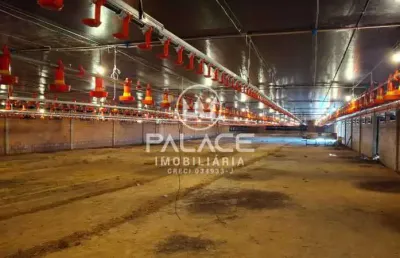 Fazenda com 1 sala à venda na zona rural, tietê , 54000 m2 por r$ 7.800.000