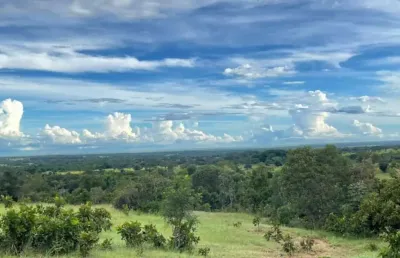 Fazenda com 2 salas à venda na zona rural, aliança do tocantins , 500 m2 por r$ 28.000.000