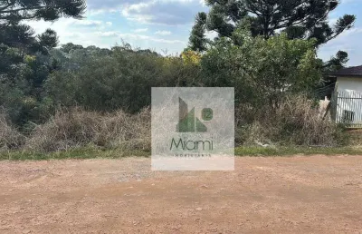 Terreno à venda, 1208 m² por r$ 550.000 - vila nova - quitandinha/pr