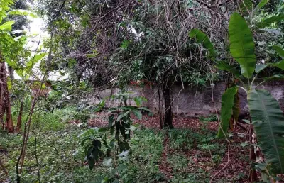 Terreno à venda na estrada do bananal, 1180, freguesia (jacarepaguá), rio de janeiro, 2440 m2 por r$ 3.550.000