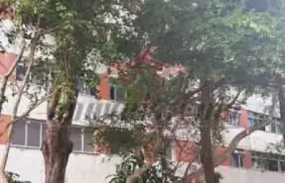 Apartamento com 3 quartos à venda na rua alcina, 261, madureira, rio de janeiro, 100 m2 por r$ 190.000