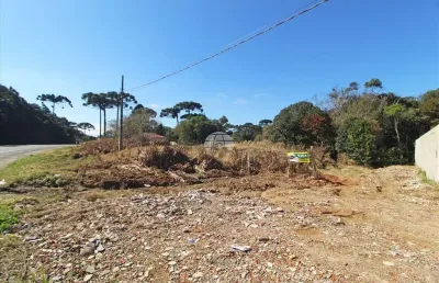 Terreno comercial para alugar na rua admar bertolli, 7546, jardim marambaia, almirante tamandaré, 500 m2 por r$ 2.000
