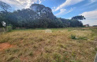 Terreno comercial para alugar na rua antônio bizetto, 14, vila ferrari, campo largo, 682 m2 por r$ 1.000